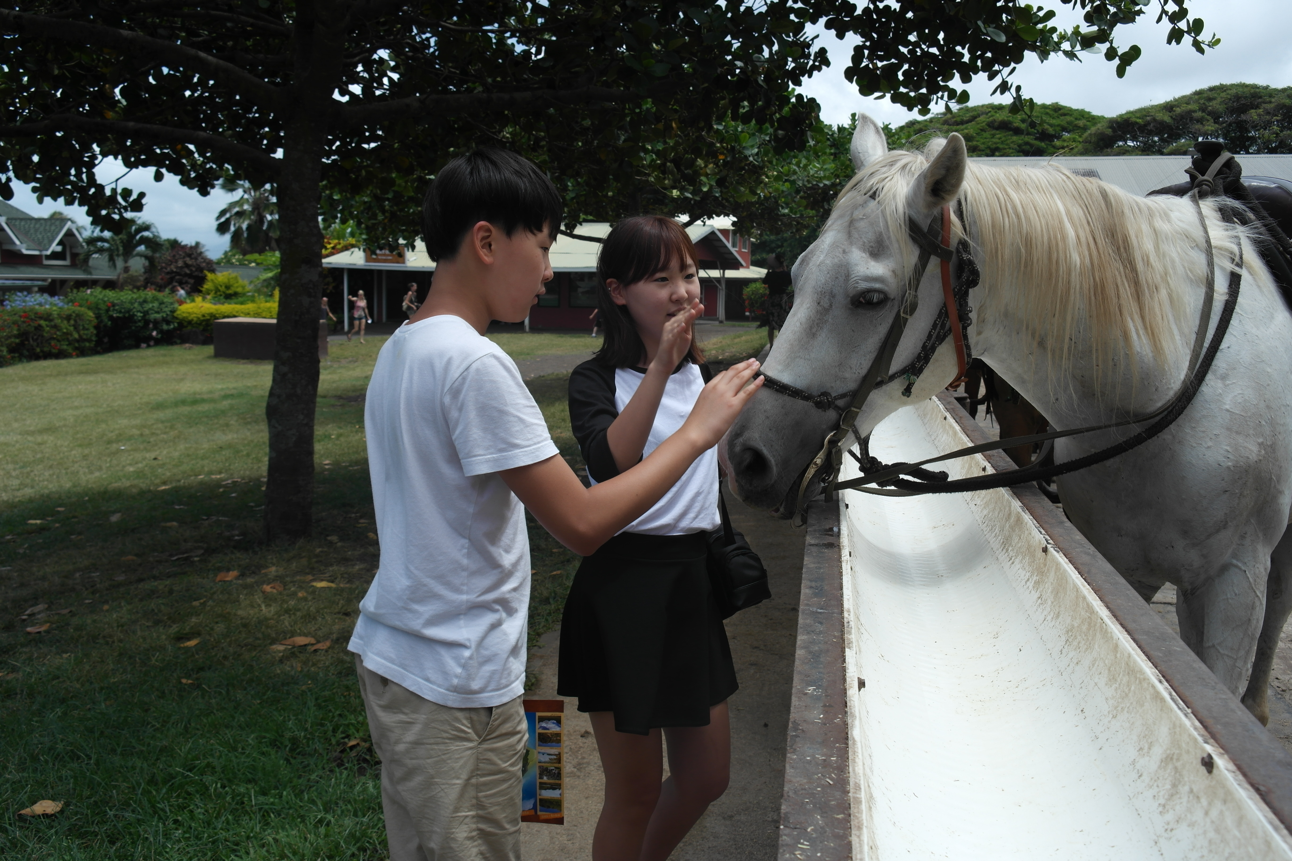 쿠알로아 목장에서 말과 친구가 되어.JPG